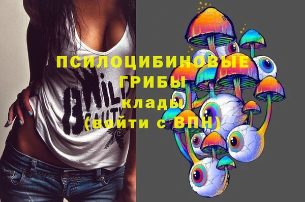 гашик Беломорск