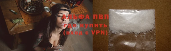гашик Беломорск