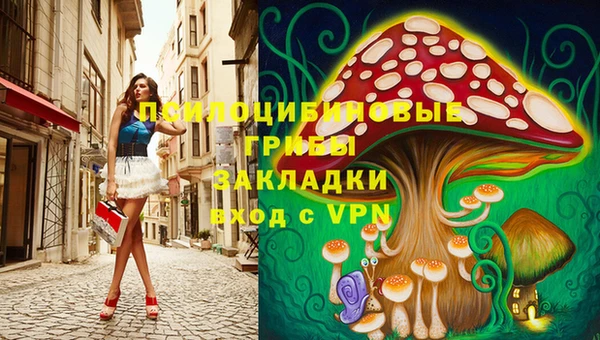 гашик Беломорск