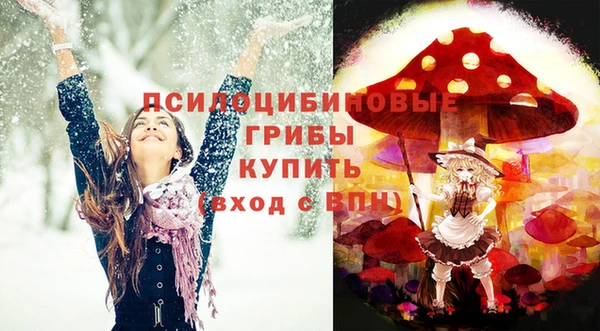 гашик Беломорск