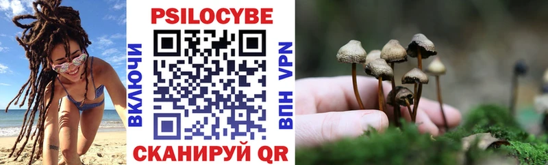 купить   Верхняя Тура  Галлюциногенные грибы мицелий 