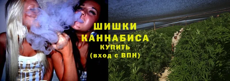 цена наркотик  Верхняя Тура  Шишки марихуана Ganja 